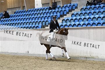 182241_kbb_01_Z093717.JPG