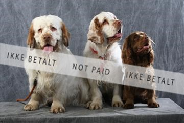 129608_le_ 01_0723.JPG