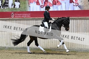 182241_kbb_01_Z094017.JPG