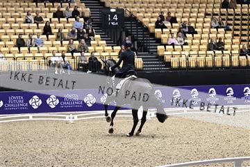 182194_kbb_03_Z099927.JPG