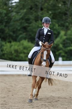 156196_nn_01_IMG_6418.JPG