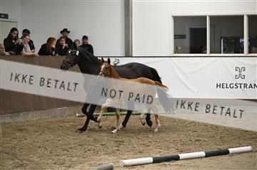 181739_kbb_01_Z092020.JPG