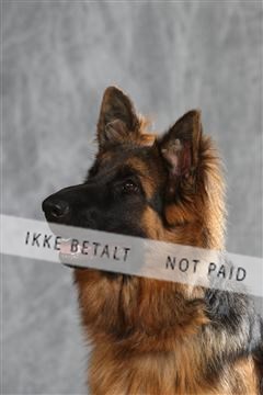 130054_le_ 01_0349.JPG