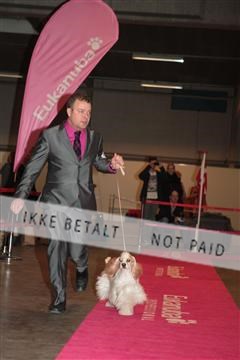 133496_tl_01_IMG_1936.JPG