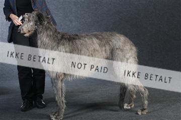 132082_le_ 01_IMG_0846.JPG