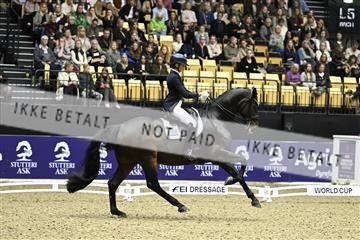 182194_kbb_03_Z091725.JPG
