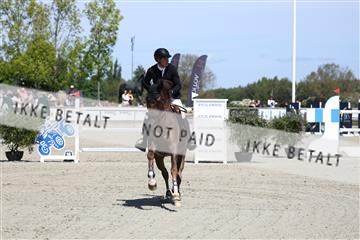 181436_avh_02_4160.JPG