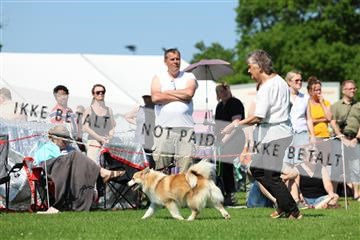 181564_rin_02_R62_3714.JPG