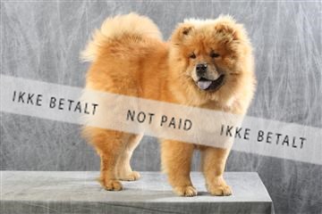 129608_le_ 01_0243.JPG