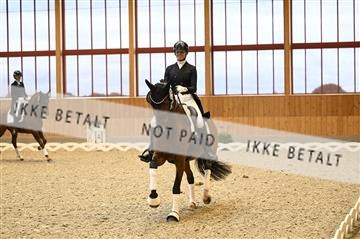 182176_kbb_01_Z094846.JPG