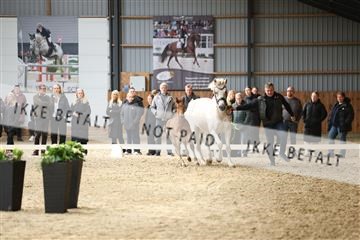 174362_kbb_01_R6II7786.JPG