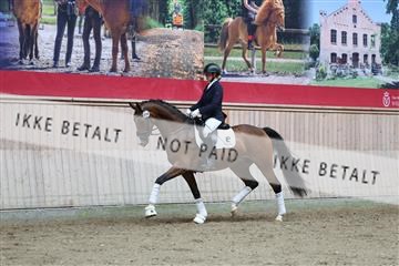 181887_mtp_01_R62_7048.JPG