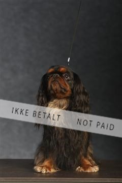 132082_le_ 01_IMG_0660.JPG