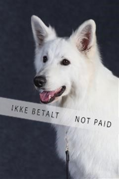 132082_le_ 01_IMG_1384.JPG