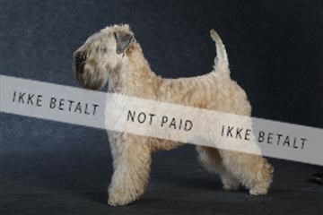 132082_le_ 01_IMG_1022.JPG