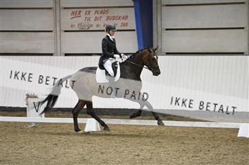 140040_abo_02__AB19138.JPG