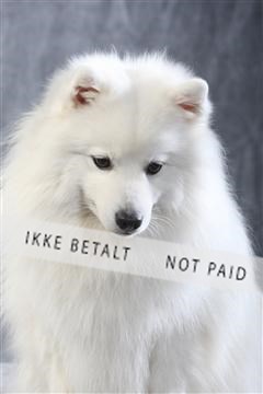 129608_le_ 01_0824.JPG