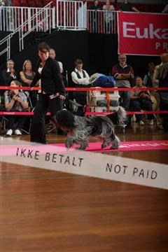 6068_ma_07_IMG_6876.JPG