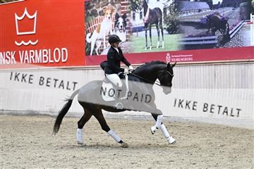 182241_kbb_01_Z093423.JPG