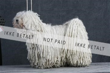 5493_sme _02__MG_9680.JPG