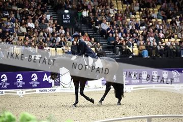 182194_avh_06_3386.JPG