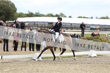 181894_mtp_02_R62_1280.JPG