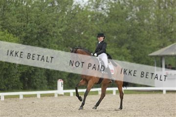 139835_sg_02_IMG_8742.JPG