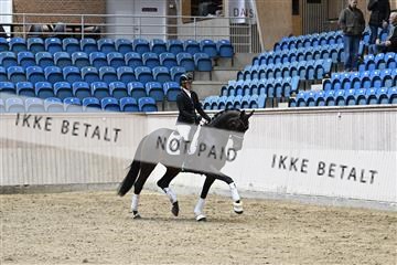 182241_kbb_01_Z094170.JPG