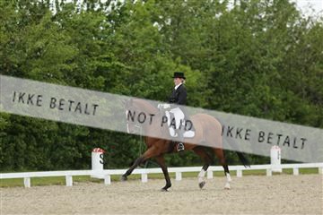 139835_sg_01_IMG_7511.JPG