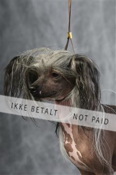 129608_le_ 01_0782.JPG