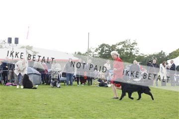 182009_kar_01__62_7082.JPG
