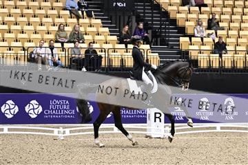182194_kbb_03_Z099772.JPG