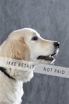 128239_le_ 06_0004.JPG