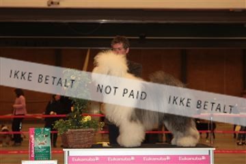 124188 _tl_02_IMG_9303.JPG