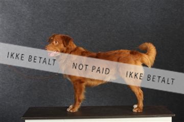 132082_le_ 01_IMG_0883.JPG