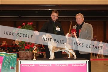 124188 _tl_02_IMG_9632.JPG