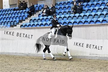 182241_kbb_01_Z093430.JPG