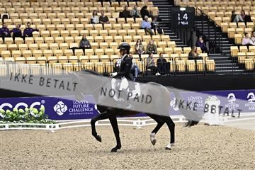 182194_kbb_03_Z099862.JPG