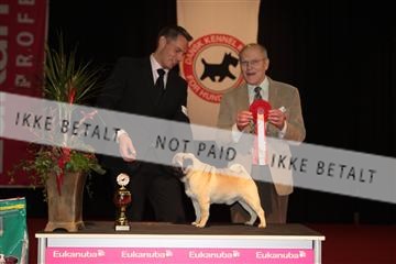 126827_tl_02_IMG_2929.JPG
