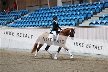 181887_mtp_04_R62_8179.JPG