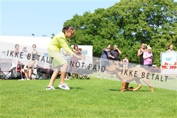181564_rin_02_R62_2703.JPG