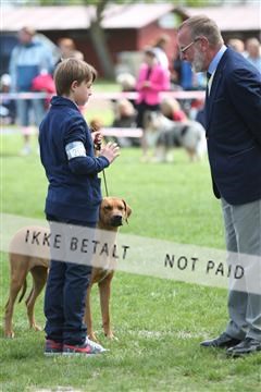 134871_ms_04_IMG_0177.JPG