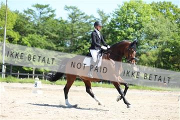 168732_mtp_01_3M5A7815.JPG