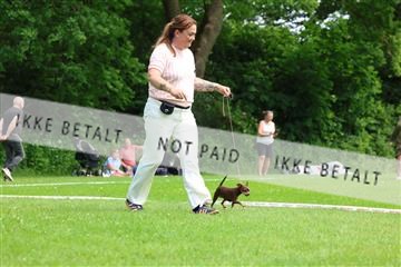 181564_rin_02_R62_1619.JPG