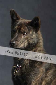 132082_le_ 01_IMG_0129.JPG