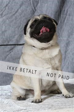 6068_ma_04_IMG_5327.JPG