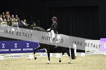 182194_kbb_03_Z092468.JPG