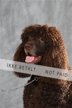 130054_le_ 01_0344.JPG