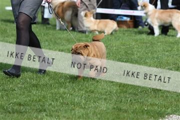 134871_ms_02_IMG_3458.JPG
