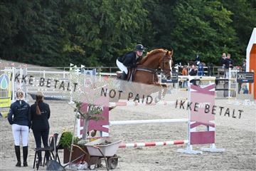 172734_akl_01_AKL_7562.JPG
